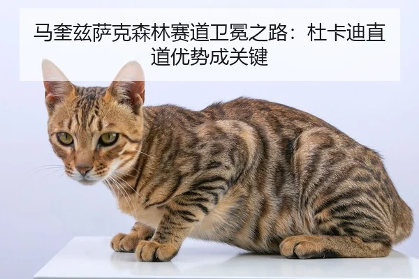 ma-kui-zi-sa-ke-sen-lin-sai-dao-wei-mian-zhi-lu-du-ka-di-zhi-dao-you-shi-cheng-guan-jian-2-666.jpg