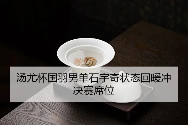 tang-you-bei-guo-yu-nan-dan-shi-yu-qi-zhuang-tai-hui-nuan-chong-jue-sai-xi-wei-3-692.jpg